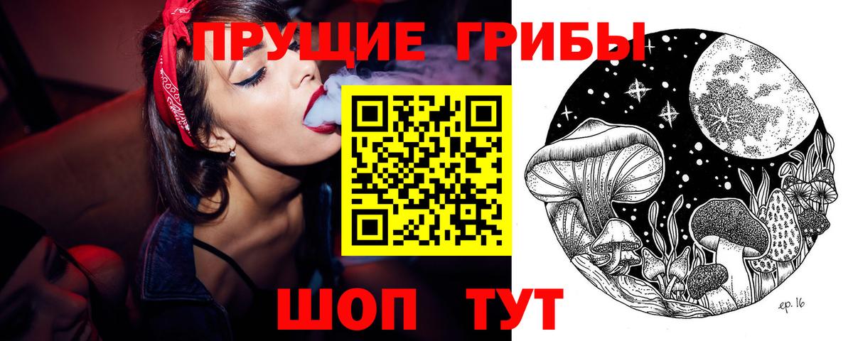 купить закладку  Псилоцибиновые грибы ЛСД  Вход с VPN  Сухой Лог 